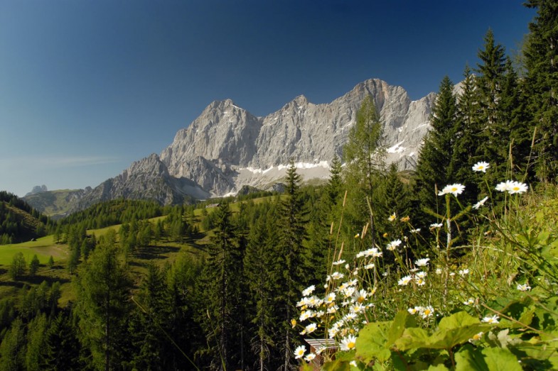 Das einzigartige Dachsteinmassiv im Sommer © Christine Höflehner