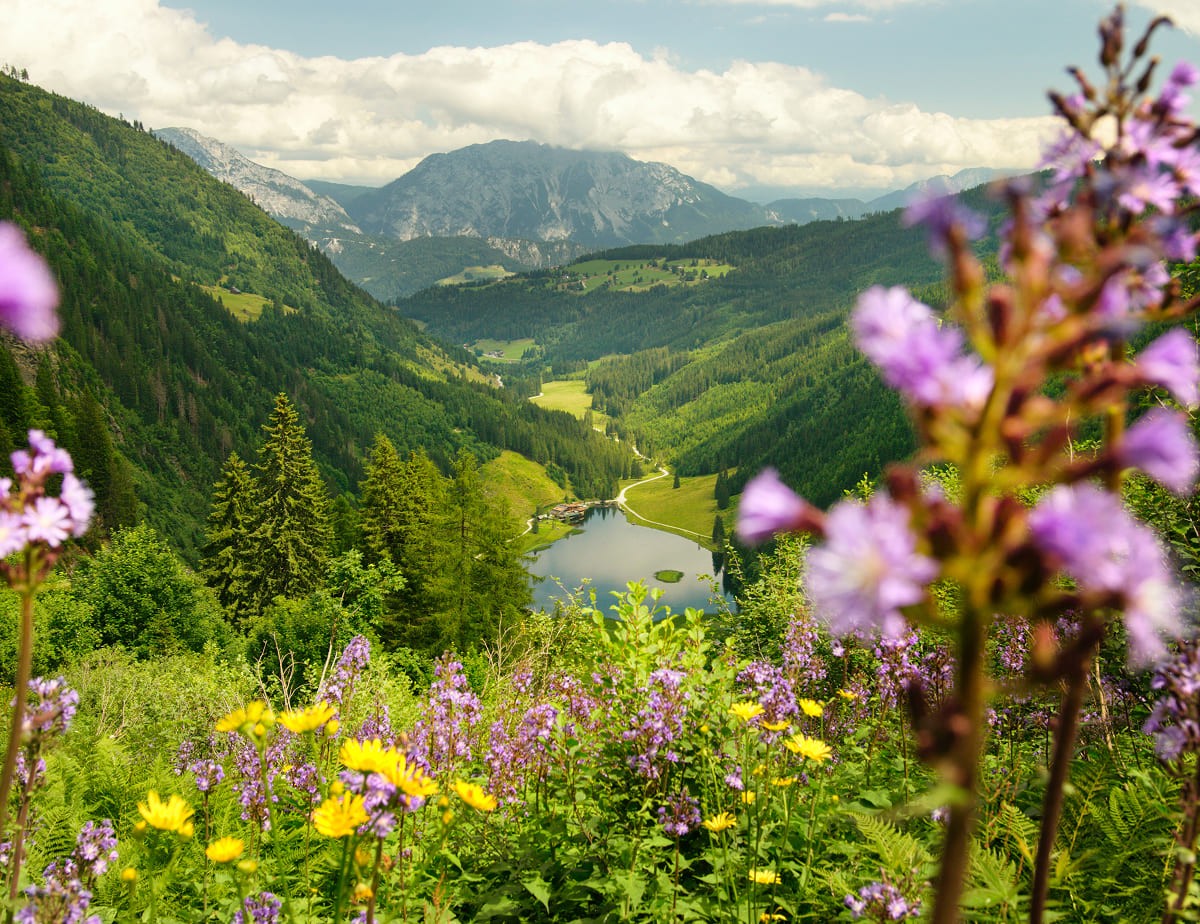 Berglandschaft mit Almwiesen und Bergsee &copy; Marlene Eggmayr