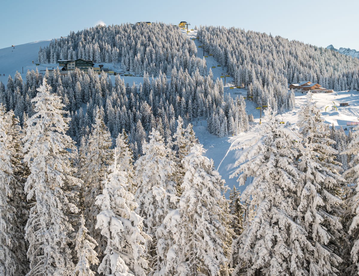 Verschneite Winterlandschaft in Ramsau am Dachstein (c) Marlene Eggmayr