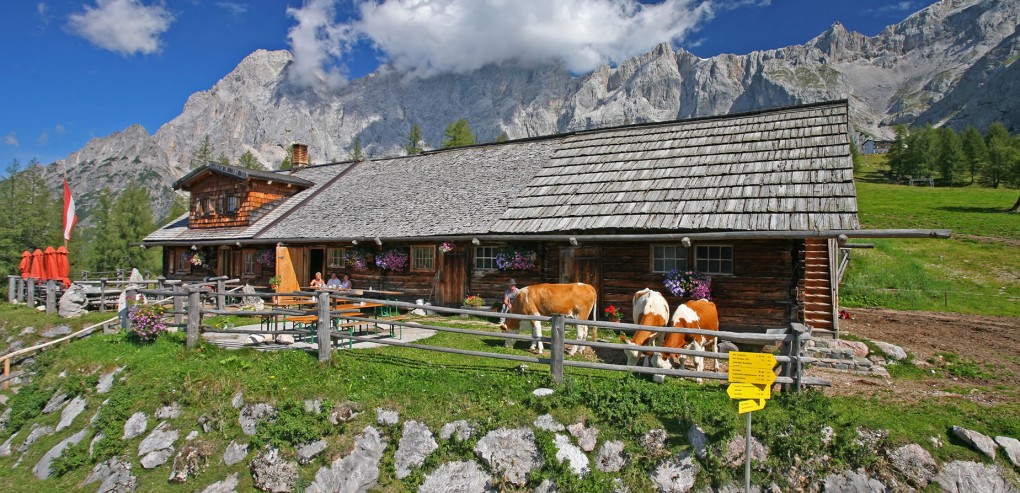Walcheralm in Ramsau am Dachstein im Sommer